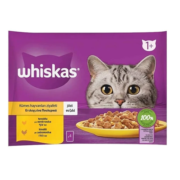 whiskas tavuklu hindili pouch kedi yaş mama (4x85gr) 5adet kümes hayvanları ziyafeti kedi konserve - Resim 2