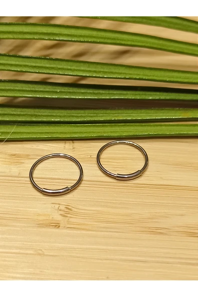 Monalisa Home Gümüş Renk  Halka Unisex Çelik Küpe ürün görseli 1