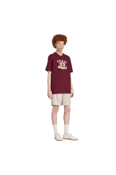 adidas  Erkek Bordo  T-shirt GRAPHIC LO SS T JX8175 - Resim 4
