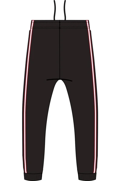 adidas  Erkek Siyah  Eşofman Altı BJK ICON TP JM4907 - Resim 2