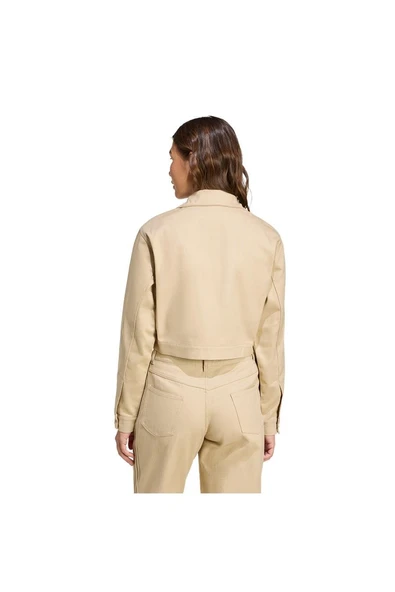 adidas  Kadın  Bej  Ceket FB CROP TT JX7600 - Resim 3