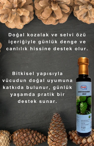 Selvi Kozalak Özü | Doğal Bitkisel Destek ve Güçlü Antioksidan Kaynağı - Resim 2