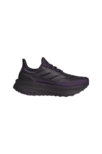 adidas Kadın  Mor  Koşu Ayakkabısı ULTRABOOST 5 GTX W JQ2955 ürün görseli