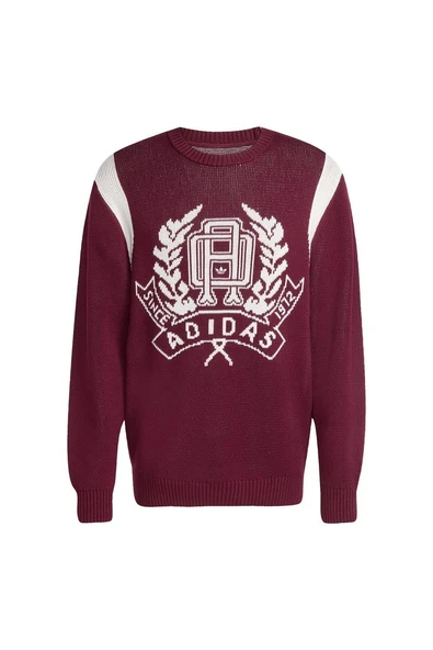 adidas  Erkek Bordo  Sweatshirt GRAPHIC REG JP JX8215 ürün görseli 1