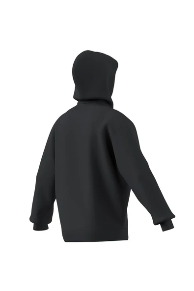 adidas  Erkek  Gri  Sweatshirt GRAPHIC LO HD JX8186 - Resim 10