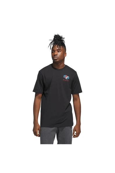 adidas  Erkek  Siyah  T-shirt M HLDY GFTBOX T JV8438 - Resim 3