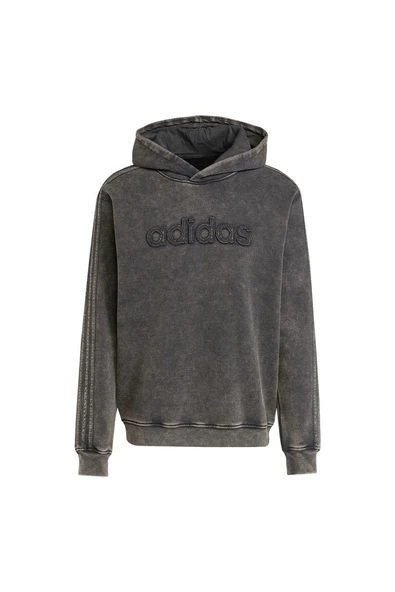 adidas Erkek  Siyah  Sweatshirt WSH HOODIE JY2792 ürün görseli 1