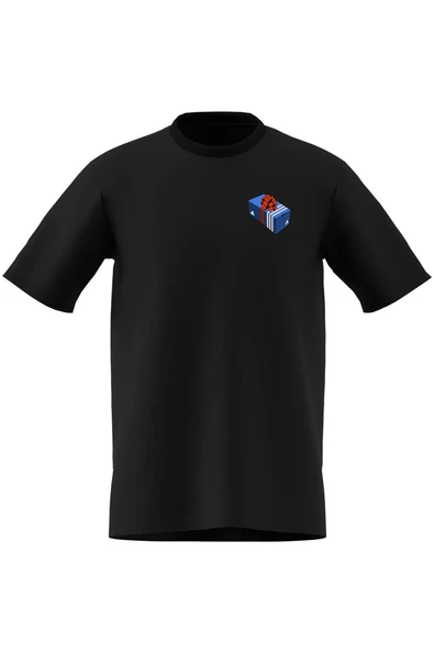 adidas  Erkek  Siyah  T-shirt M HLDY GFTBOX T JV8438 - Resim 8