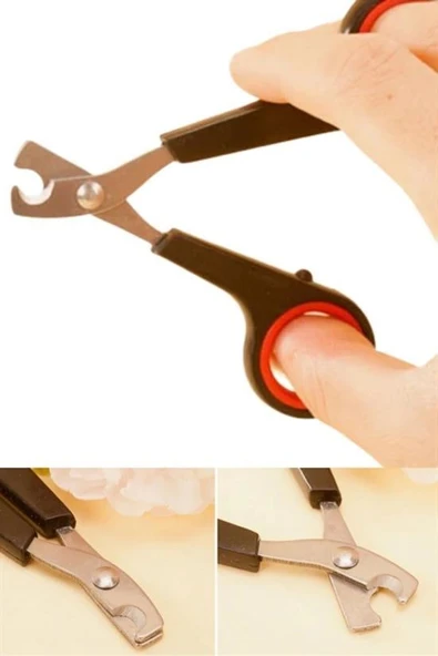 OLLEVRA Evcil Hayvan Tırnak Makası Ve Törpü Seti Manikür Pedikür Pati Bakım Aleti Kaymaz Sap - 8