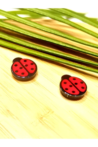 Monalisa Home Pırlanta  Mıknatıslı  (Delik olmayan Kulaklar İçin)  Unisex Çelik Küpe ürün görseli 1