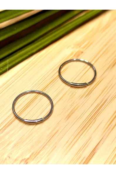 Monalisa Home Gümüş Renk  Halka Unisex Çelik Küpe ürün görseli 1