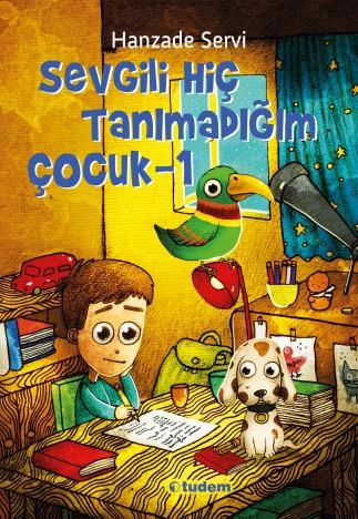 Sevgili Hiç Tanımadığım Çocuk ürün görseli