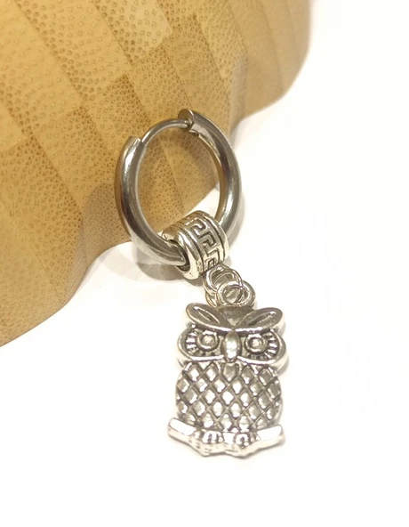 Monalisa Home Çelik Gümüş Renk Figürlü Unisex Küpe ürün görseli 1