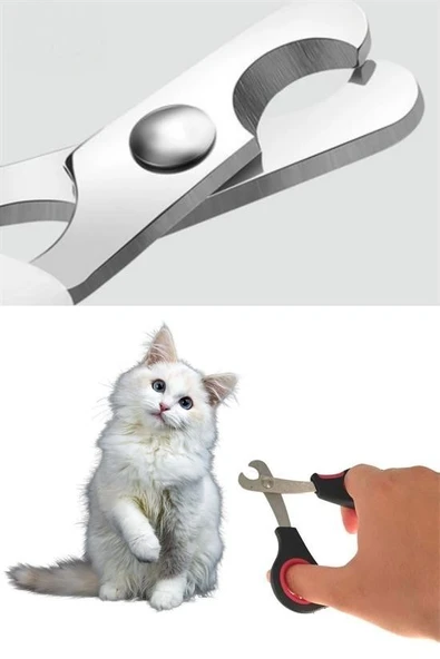 OLLEVRA Büyük Irk Köpek Kedi Çelik Uçlu Evcil Hayvan Tırnak Makası Pati Bakım Aleti Ergonomik Kaymaz - Resim 7