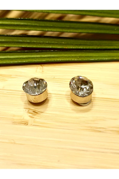 Monalisa Home Pırlanta  Mıknatıslı  (Delik olmayan Kulaklar İçin)  Unisex Çelik Küpe ürün görseli 1