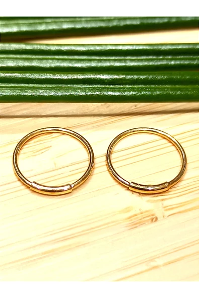 Monalisa Home Sarı Renk  Halka Unisex Çelik Küpe ürün görseli 1