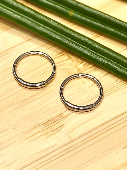 Monalisa Home Gümüş Renk  Halka Unisex Çelik Küpe ürün görseli 1