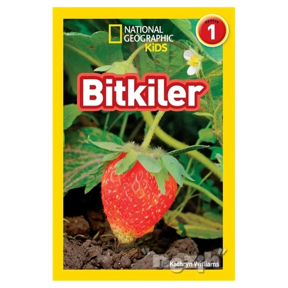 Bitkiler - National Geographic Kids ürün görseli