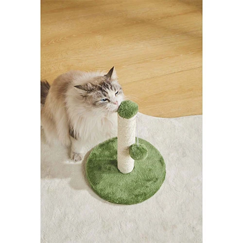 M-Pets My First Ponponlu Kedi Tırmalama Tahtası Yeşil 24x24x30 Cm - Resim 3