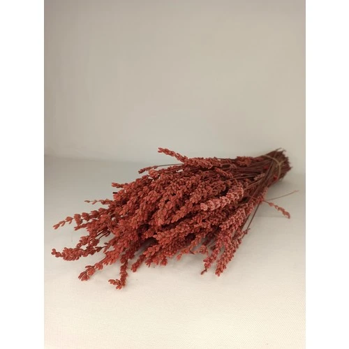 Toz Pembe Şoklanmış Dökülmeye Dayanıklı Gerçek Lavanta Demeti - Resim 2