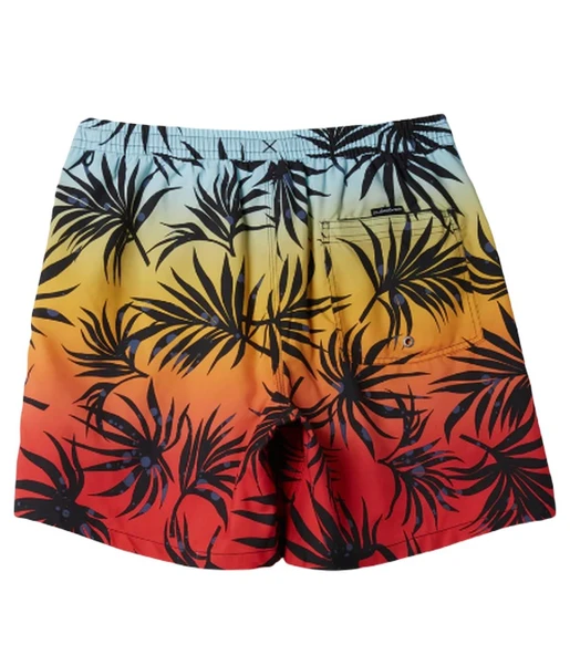 Quiksilver AQYJV03147 Everyday Mix Volley 15 Erkek Şort Mayo - Resim 2
