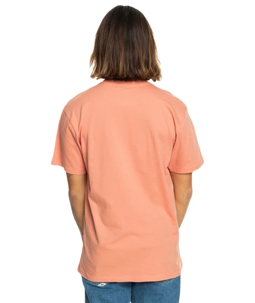 Quiksilver EQYZT07679 Tropical Rainbow Ss Erkek Tişört - Resim 7