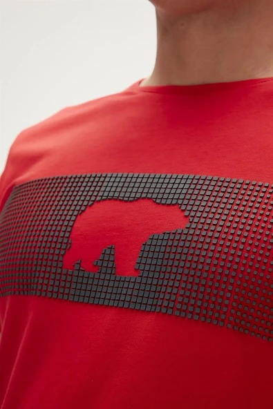 Bad Bear 20.01.07.024-C54 Fancy Erkek Tişört - Resim 2