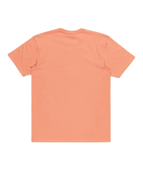 Quiksilver EQYZT07679 Tropical Rainbow Ss Erkek Tişört - Resim 3