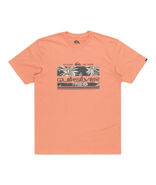 Quiksilver EQYZT07679 Tropical Rainbow Ss Erkek Tişört - Resim 2
