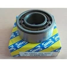 Tofas Grup MILI On Rulmanı Tempra - Snr Nj12012s03h100 ürün görseli