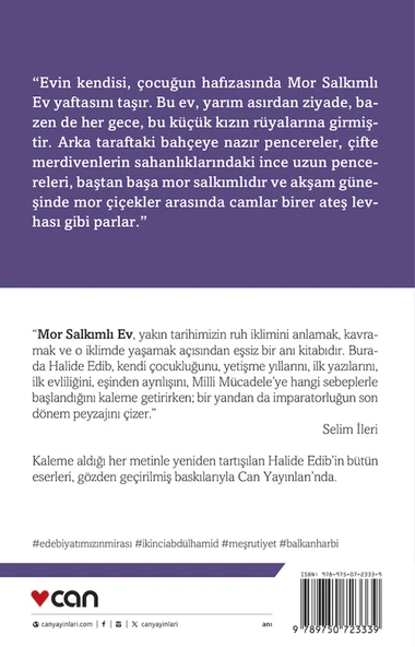 Mor Salkımlı Ev - Resim 3