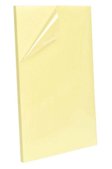 10 Adet Büyük Plaka 23x50 cm Çift Taraflı Yapışkanlı Bant ürün görseli