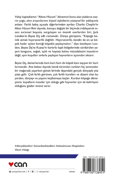 Beyaz Diş - Resim 3