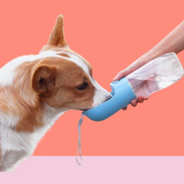 Northcity 450 ml Taşınabilir Butonlu Evcil Hayvan Suluğu - Resim 2