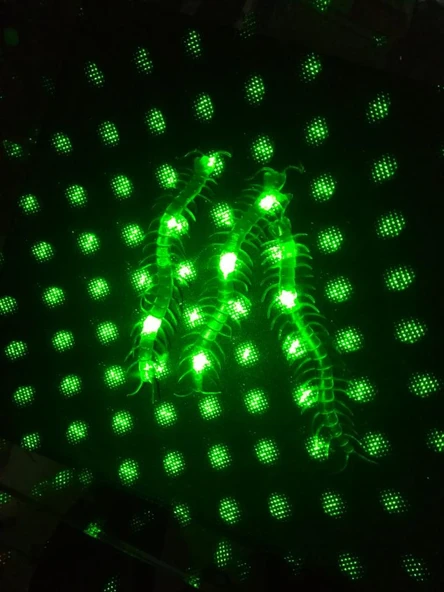 Şaka Yılan ve Kırkayak Karışık 36 Adet - 4