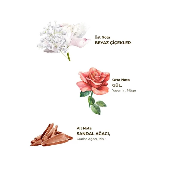 Kolonya Pet Şişe Sprey 150 ml Hatıralar - Resim 2