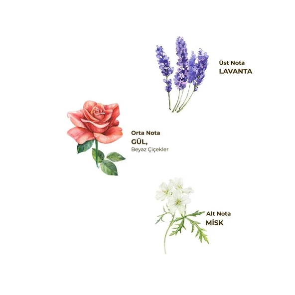 Kolonya Pet Şişe Sprey 150 ml Lavanta - Resim 2