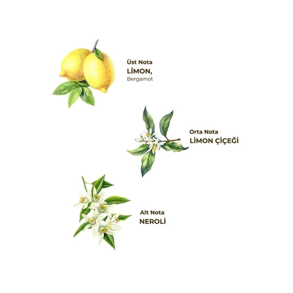 Kolonya Pet Şişe Sprey 150 ml Limon - Resim 2