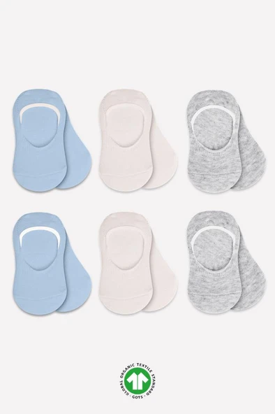 NessiWorld 6'Lı Silikonlu Babet Penye Çorap BS30101B Mavi Ekru Gri ürün görseli