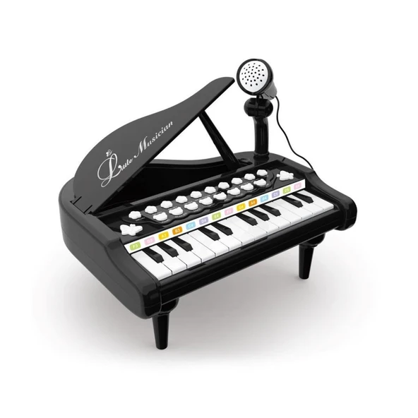 BAO-1505A Mikrofonlu NessiWorld Piano 24 Tuş MP3 Çalar - 5