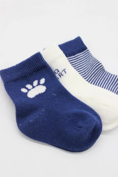 NessiWorld 3'Lü Penye Soket Çorap BS10110 İndigo - Resim 4