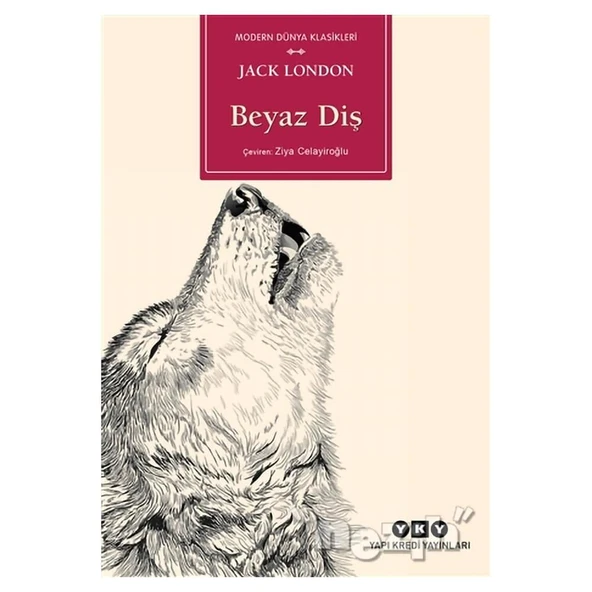 Beyaz Diş ürün görseli