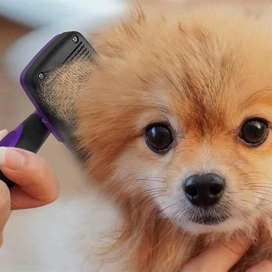 BUFFER®  Otomatik Temizlenebilen Tuşlu Pratik Kedi Köpek Tüy Toplama Fırçası - 6