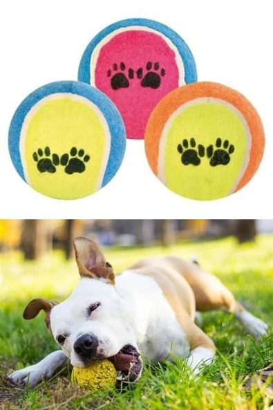 BUFFER® 3lü Renkli Desenli Tenis Topu Kedi Köpek Oyuncağı - 8