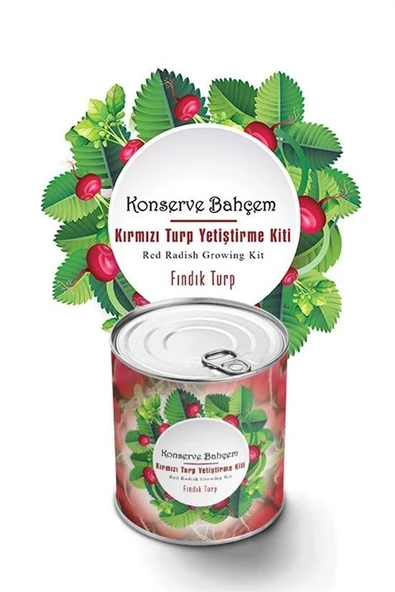 BUFFER® Konserve Bahçem Evde Konservede Fındık Turp Yetiştirme Kiti - Resim 2