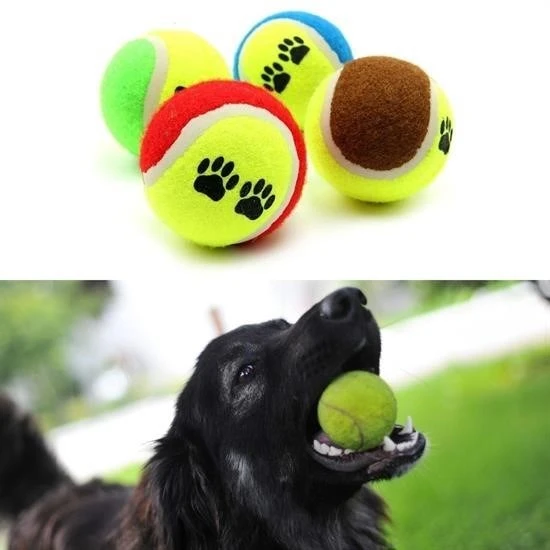 BUFFER® 3lü Renkli Desenli Tenis Topu Kedi Köpek Oyuncağı - 3