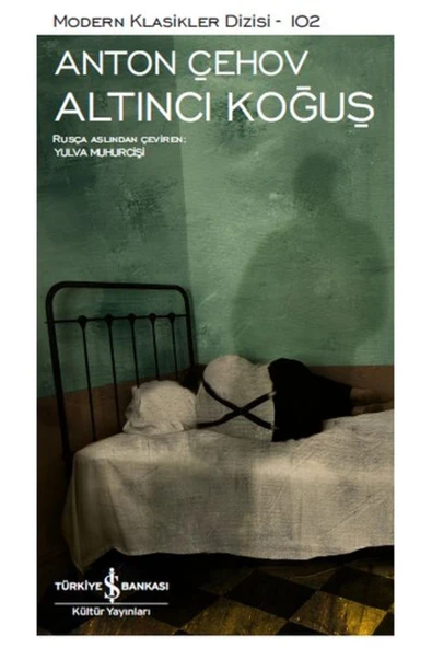 Altıncı Koğuş- Modern Klasikler Dizisi ürün görseli