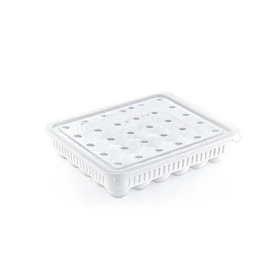 BUFFER® 30lu Yumurta Saklama Kabı - 7
