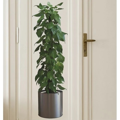 Saksılı Bitki Tasarımlı Yapışkanlı Sticker Resim 90*30 cm (5250) - 2