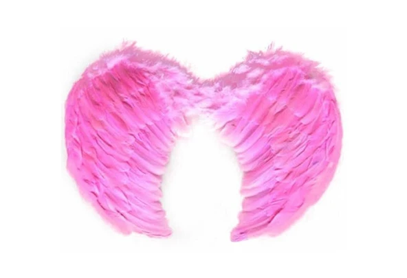 Melek Kanadı Büyük Boy  - Pembe - Resim 4